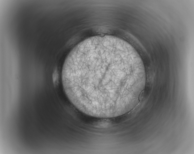 X0000100930124200807221145