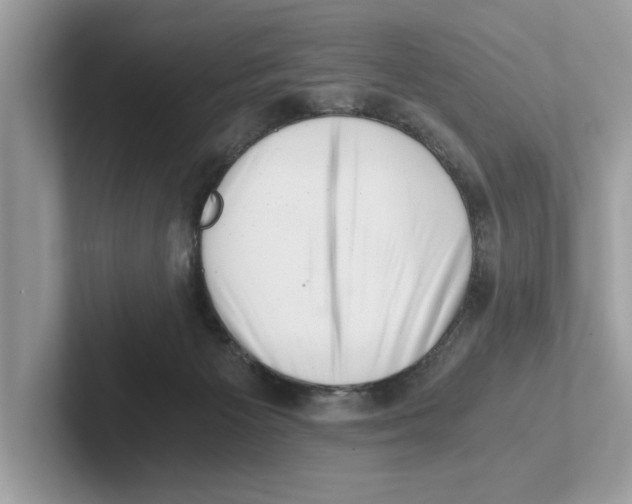 X0000100930125200807221145