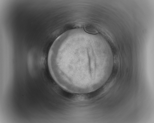 X0000100930127200807221145