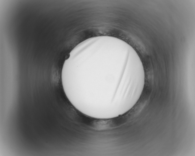 X0000100930129200807221145