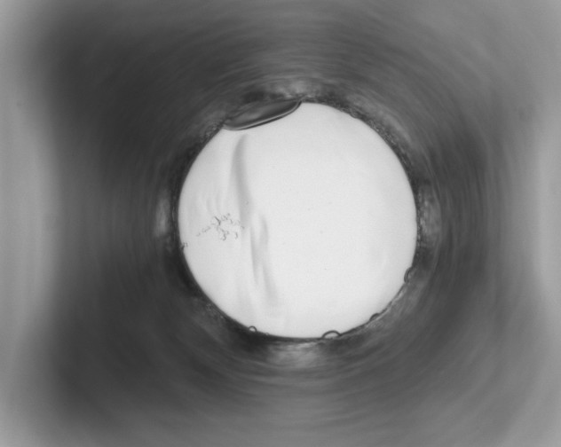 X0000100930132200807221145