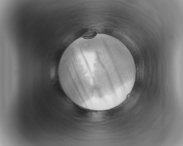 X0000100930134200807221145