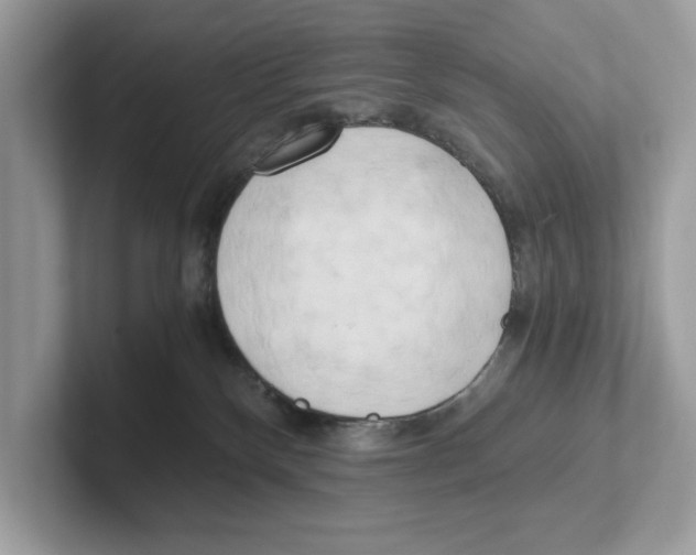 X0000100930136200807221145