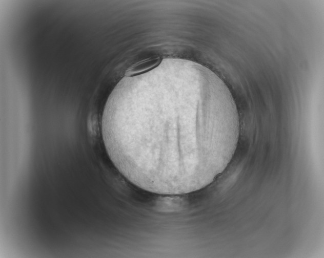 X0000100930137200807221145