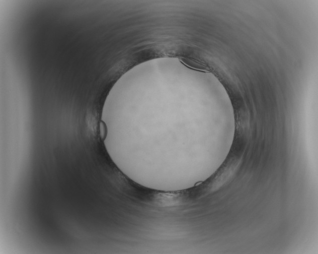 X0000100930139200807221145