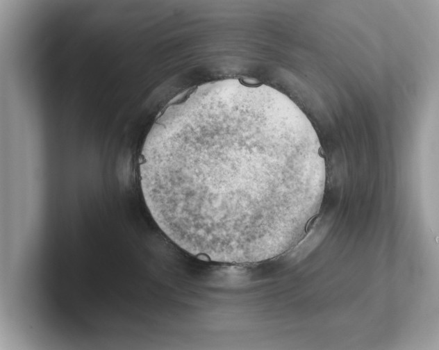 X0000100930140200807221145