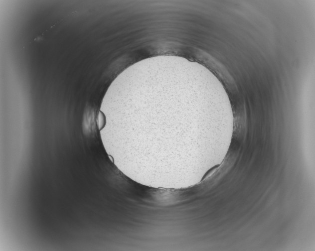 X0000100930142200807221145