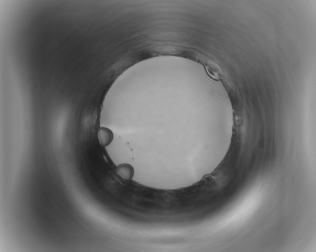 X0000100930143200807221145