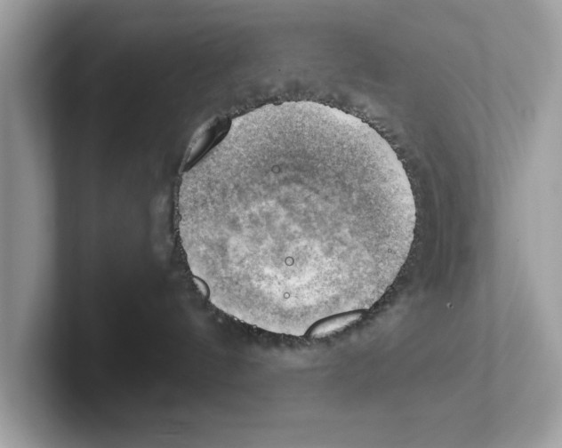 X0000100930144200807221145