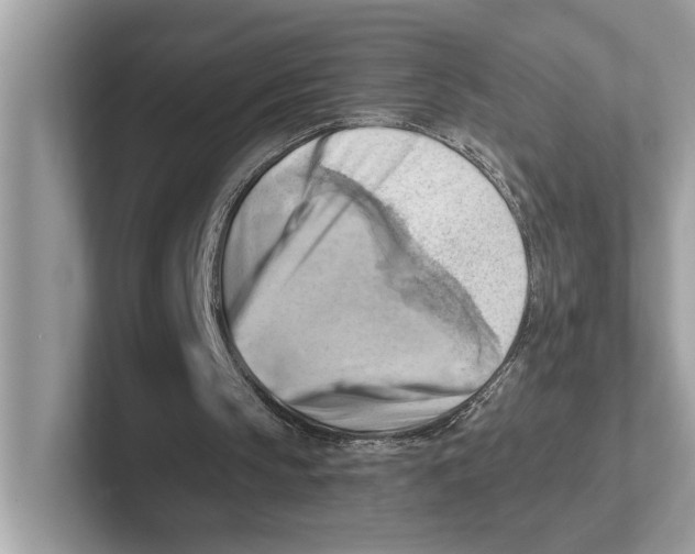 X0000100930145200807221144