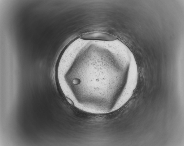 X0000100930148200807221144