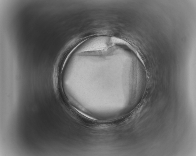 X0000100930149200807221144