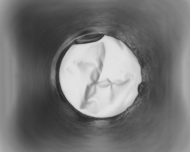 X0000100930150200807221144