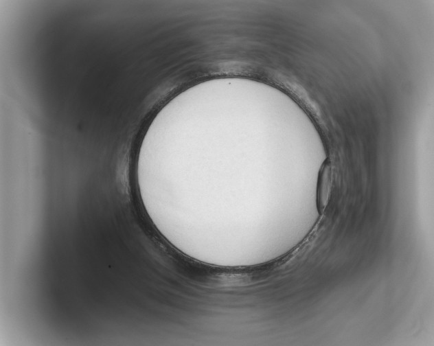 X0000100930154200807221144