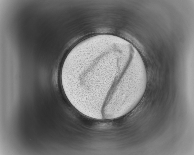 X0000100930155200807221144