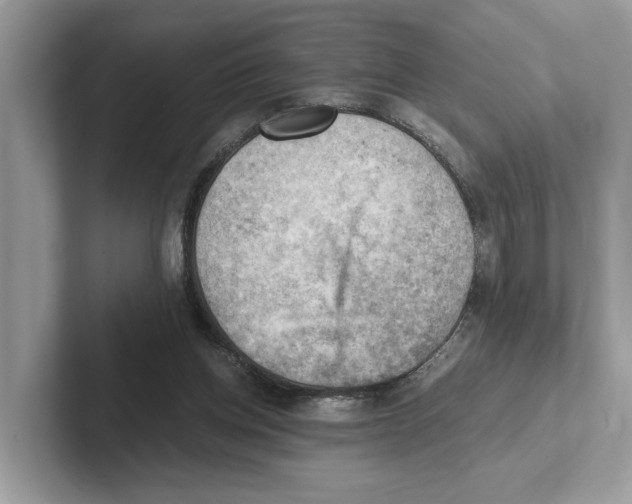 X0000100930158200807221144