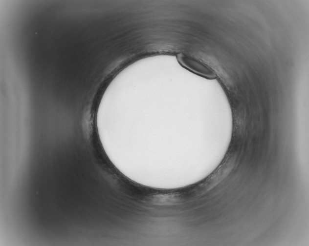 X0000100930160200807221144