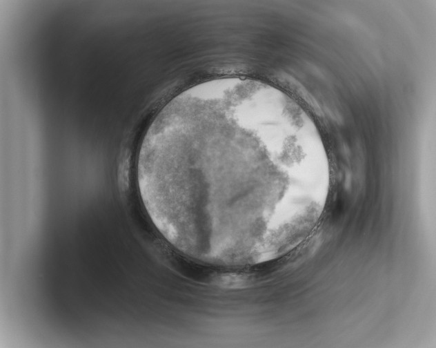 X0000100930163200807221144