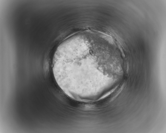 X0000100930165200807221144