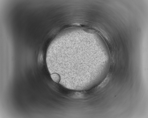 X0000100930166200807221144