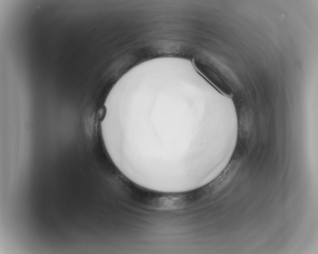 X0000100930172200807221144