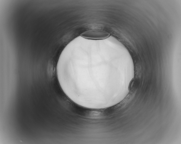 X0000100930176200807221144