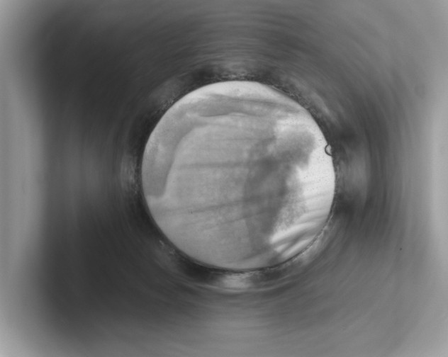 X0000100930178200807221144