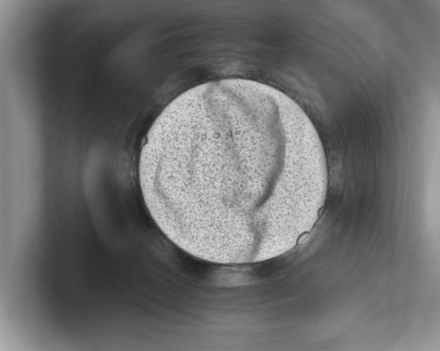 X0000100930179200807221144