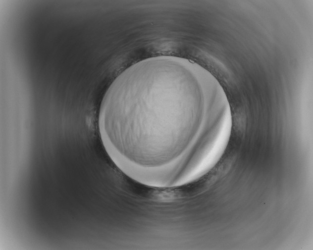 X0000100930181200807221144