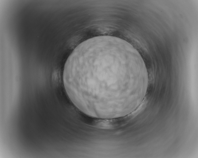 X0000100930182200807221144