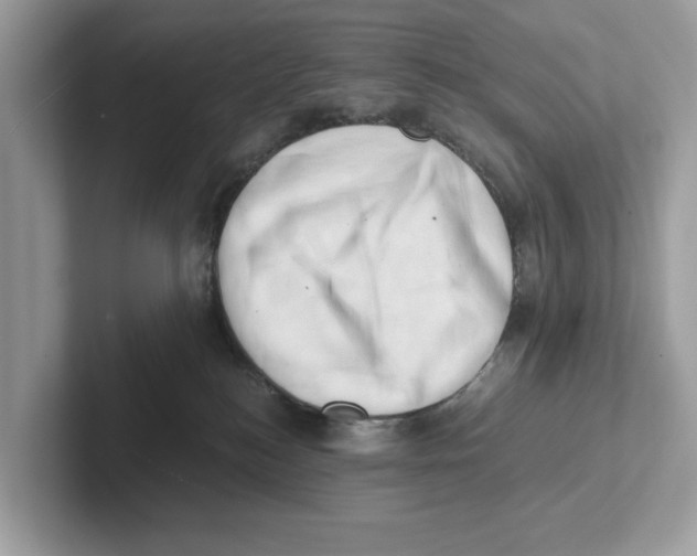 X0000100930184200807221144