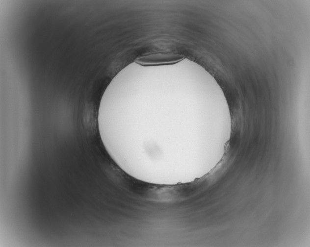 X0000100930186200807221144