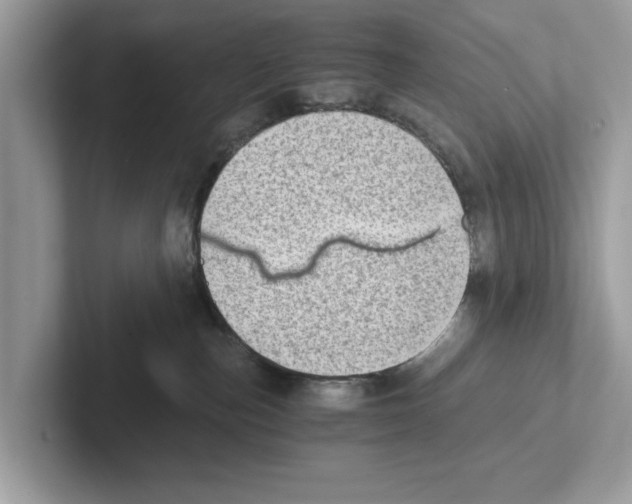 X0000100930187200807221144