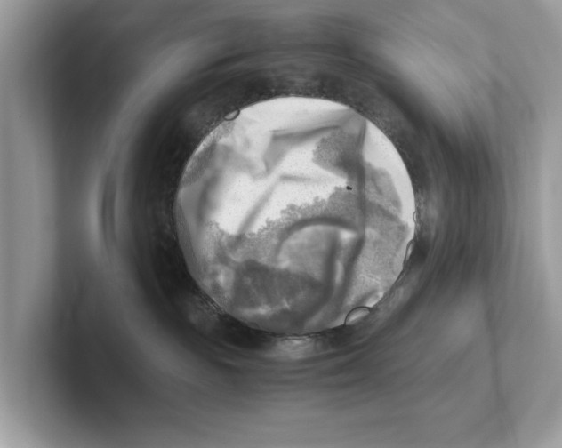 X0000100930189200807221144