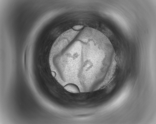 X0000100930191200807221145