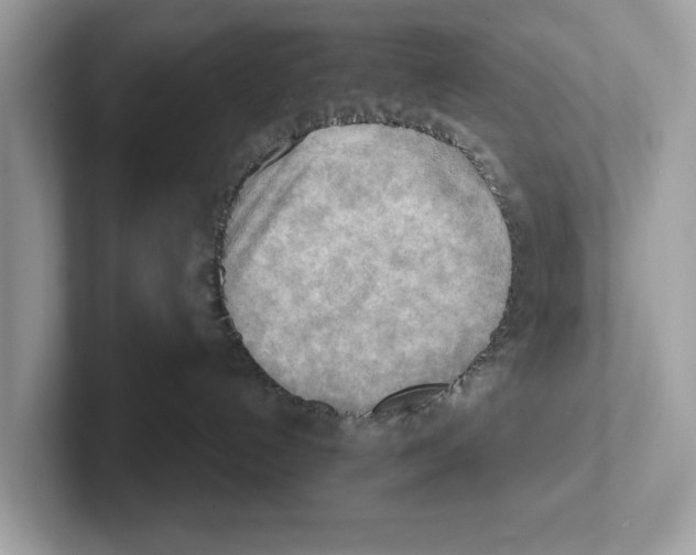 X0000100930192200807221145