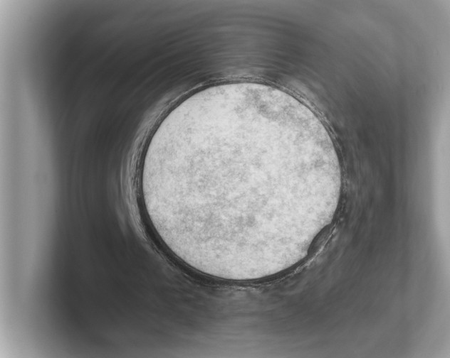 X0000100930193200807221144