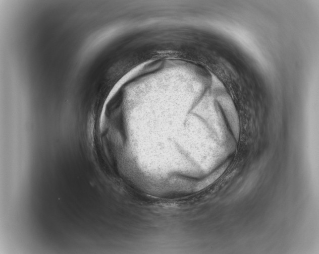 X0000100930194200807221144