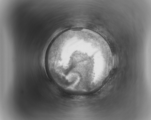 X0000100930195200807221144