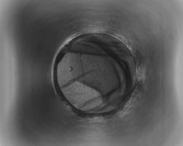 X0000100930196200807221144