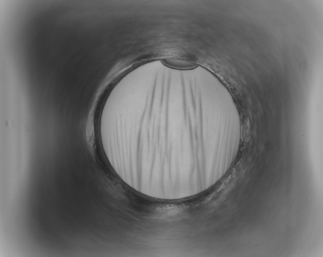 X0000100930198200807221144