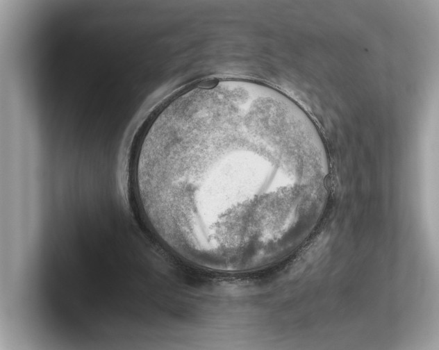 X0000100930199200807221144