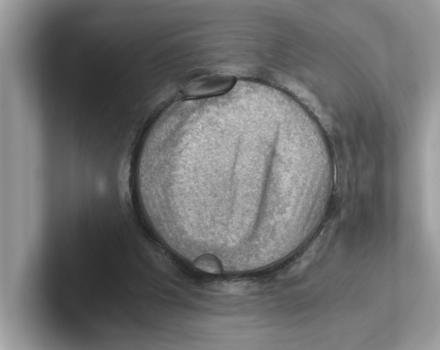 X0000100930201200807221144