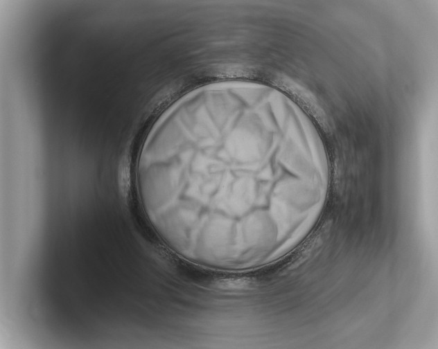 X0000100930202200807221144