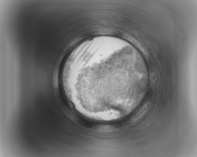 X0000100930203200807221144