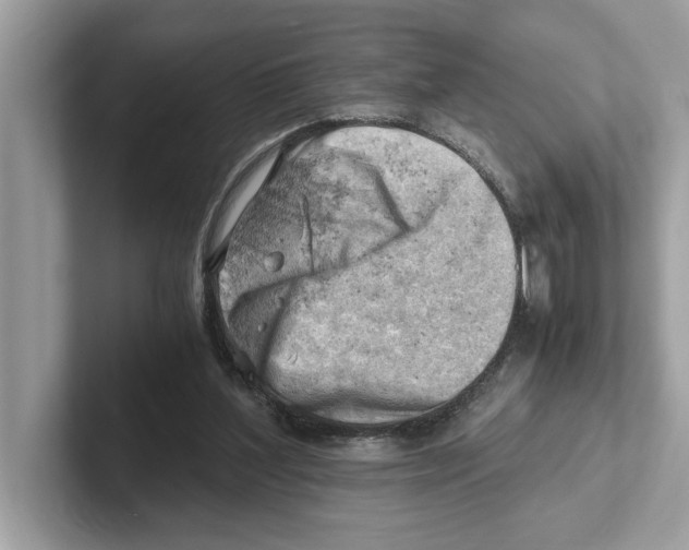 X0000100930204200807221144