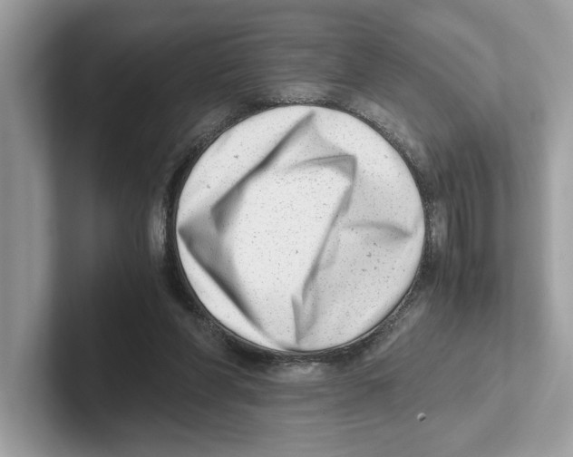 X0000100930206200807221144