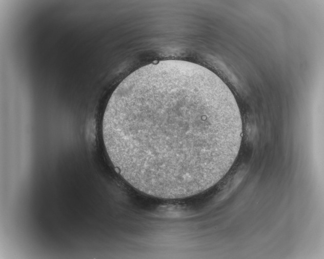 X0000100930211200807221144