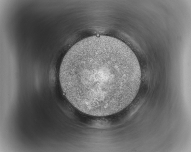 X0000100930215200807221144