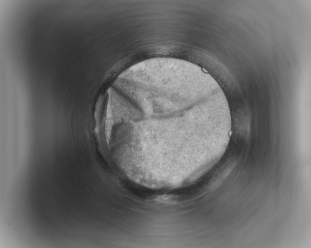 X0000100930216200807221144